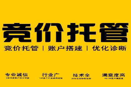 百度竞价排名实战：某行业领先企业的成功之路